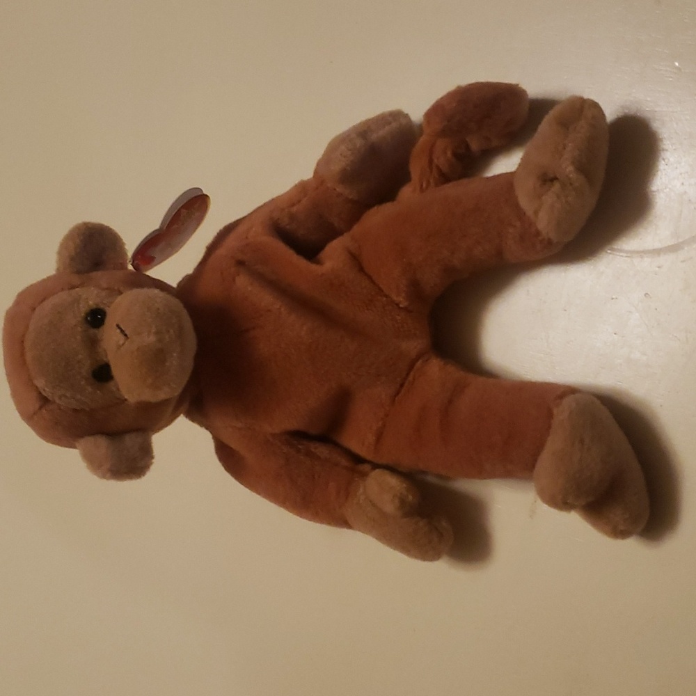 $5 Sale! The Beanie Babies Collection~Bongo
